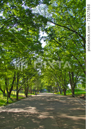 [Machida City] Tsuruma Park 71027868