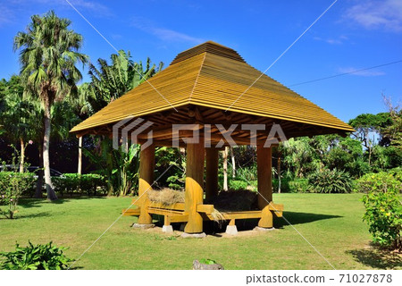 Amami Oshima Takakura and Kaya re-roofing 71027878