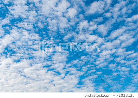 白雲在蔚藍的天空,扇貝雲在美麗的天空 白雲在蔚藍的天空,扇貝雲在美麗的天空 71028125