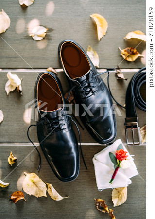 Close-up of black shoes of a man with untied laces, on a wooden texture with a belt and groom's boutonniere, with yellow autumn leaves. Close-up of black shoes of a man with untied laces, on a wooden texture with a belt and groom's boutonniere, with yellow autumn leaves. 71028159