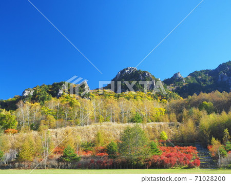 Yamanashi Prefecture Mt. Mizugaki Autumn Leaves October Yamanashi Prefecture Mt. Mizugaki Autumn Leaves October 71028200