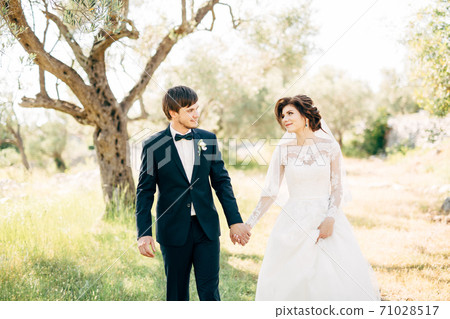bride and groom walking together in olive grove, looking at each other and holding hands bride and groom walking together in olive grove, looking at each other and holding hands 71028517