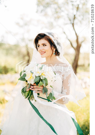 beautiful bride in tender wedding dress with bridal bouquet in olive grove beautiful bride in tender wedding dress with bridal bouquet in olive grove 71028639