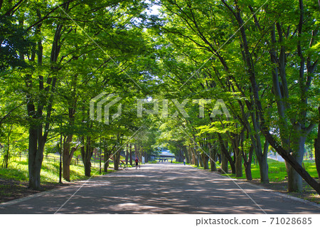 [Machida City] Tsuruma Park 71028685