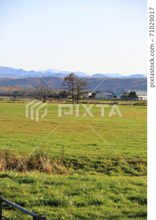 牧場風光(北海道新幹町) 牧場風光(北海道新幹町) 71029017