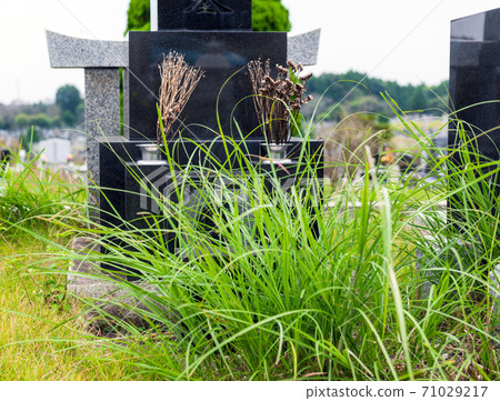 未維護的草弓墳墓。 71029217