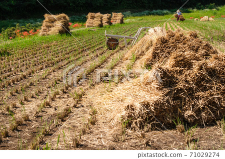 稻草堆 71029274