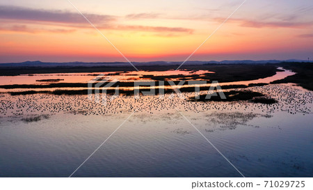 華城湖早晨 華城湖早晨 71029725