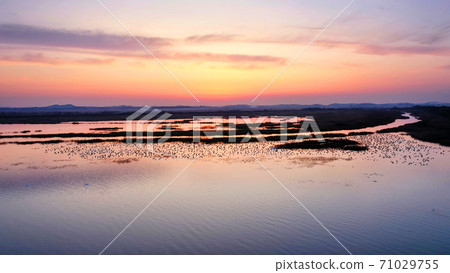 Hwaseong Lake morning 71029755