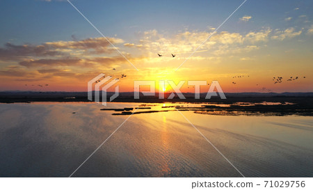 Hwaseong Lake morning 71029756