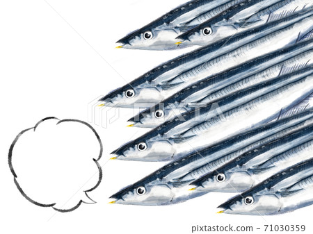 秋劍魚D手繪(井噴) 秋劍魚D手繪(井噴) 71030359