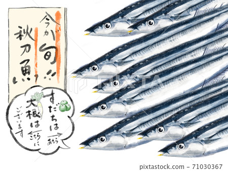 秋劍魚D手繪(帶字母) 秋劍魚D手繪(帶字母) 71030367