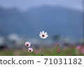[京都府]龜岡夢園 71031182