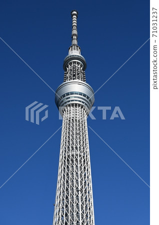 Tokyo Sky Tree 71031237
