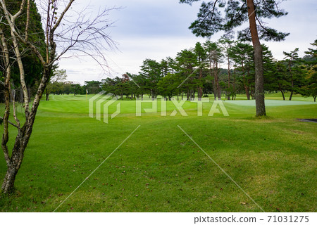 Golf course Golf course Putting green 71031275