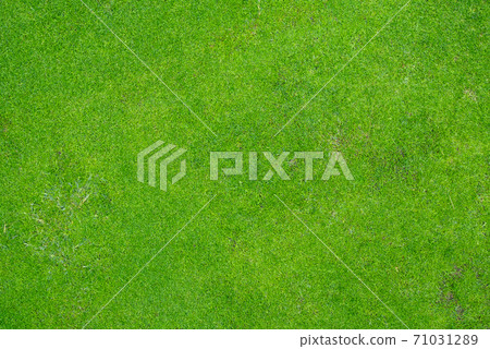 Background material lawn golf course golf course 71031289