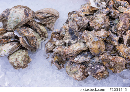 Fresh oysters on ice in boxes at the seafood market 71031343