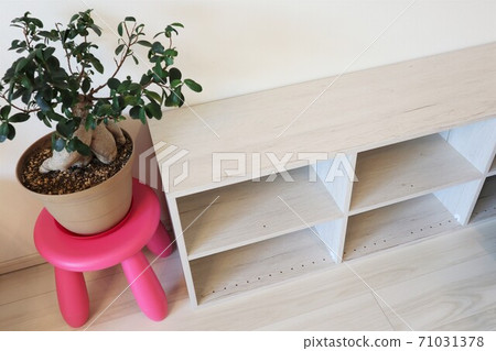 Simple white shelves and foliage plants 71031378