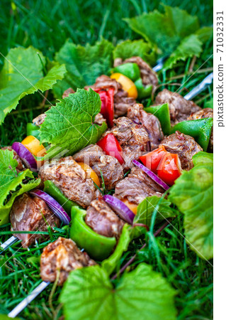 Shashlik On The Grass 71032331