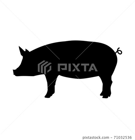 pig on white background. pig sign. pork animal symbol. pig silhouette side retro vintage. 71032536