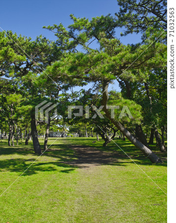 菲蘇中島公園風光 菲蘇中島公園風光 71032563