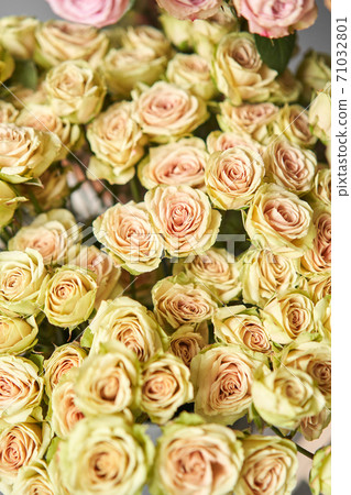 Flowers arrangement in pumpkin on wooden table. Fresh cut flowers for decoration home. European floral shop. Delivery fresh cut flower. Flowers arrangement in pumpkin on wooden table. Fresh cut flowers for decoration home. European floral shop. Delivery fresh cut flower. 71032801