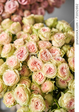 Flowers arrangement in pumpkin on wooden table. Fresh cut flowers for decoration home. European floral shop. Delivery fresh cut flower. Flowers arrangement in pumpkin on wooden table. Fresh cut flowers for decoration home. European floral shop. Delivery fresh cut flower. 71032802
