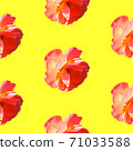 Seamless pattern with roses on a yellow background. 71033588