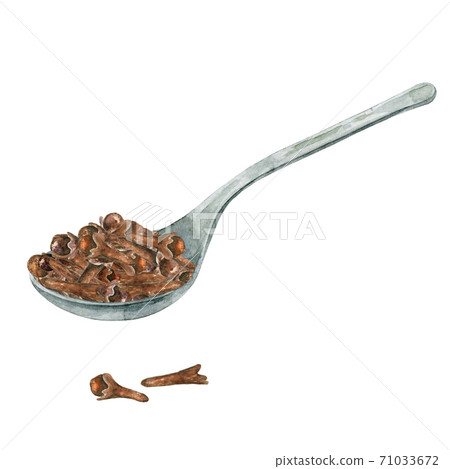 Watercolor spoon with cloves Watercolor spoon with cloves 71033672