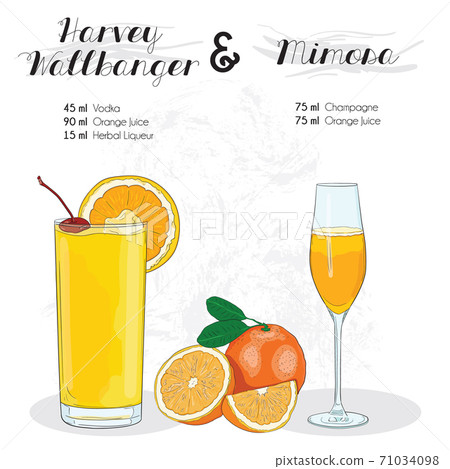 Hand Drawn Colorful Harvey Wallbanger and Mimosa Cocktail Drink Ingredients Recipe. 71034098