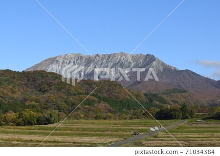 Autumn Oyama 71034384