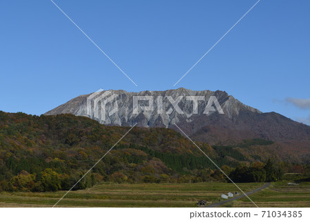 Autumn Oyama 71034385