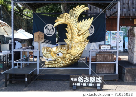 Nagoya Castle Gold Shachihoko 71035038