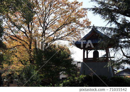 東京台東區上野金井寺鐘樓 東京台東區上野金井寺鐘樓 71035542