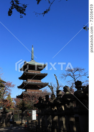 東京台東區上野的龜井寺五層寶塔 東京台東區上野的龜井寺五層寶塔 71036459