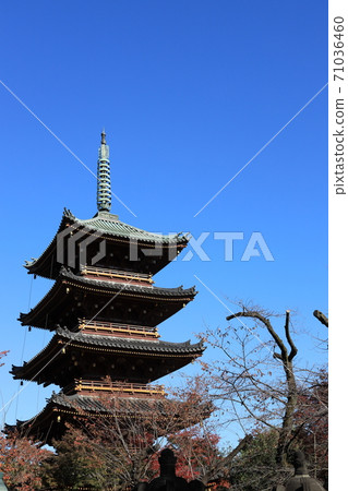 東京台東區上野的龜井寺五層寶塔 東京台東區上野的龜井寺五層寶塔 71036460