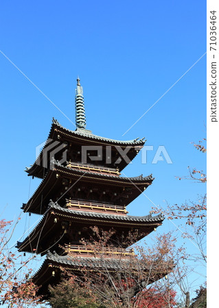 東京台東區上野的龜井寺五層寶塔 東京台東區上野的龜井寺五層寶塔 71036464