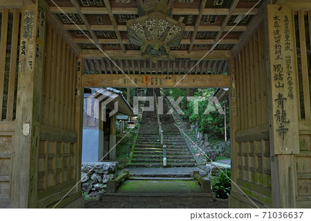 [Mt. Tokko, Isanain Seiryu-ji Temple] (Shikoku Sacred Site No. 36 Temple) Ryu, Usa-cho, Tosa City, Kochi Prefecture 71036637
