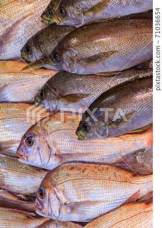 Nagasaki Sasebo_Fresh fish in Sasebo morning market 71036654