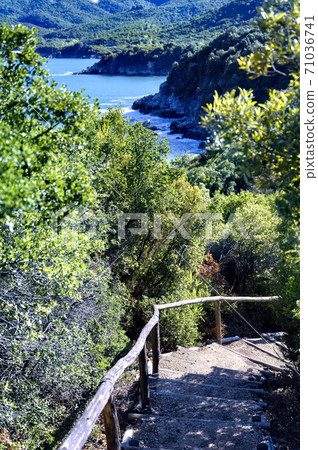 Ruins of ancient stageira city in Halkidiki, Greece Ruins of ancient stageira city in Halkidiki, Greece 71036741