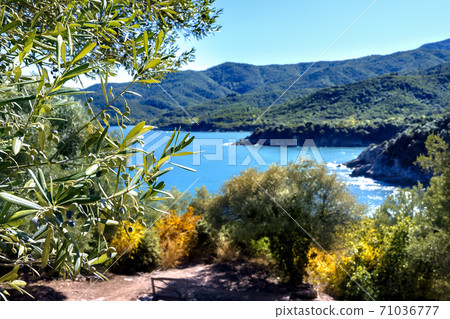 Green mountains and blue sea at Olympiada, Halkidiki, Greece 71036777