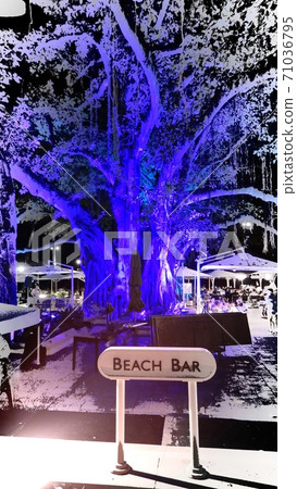 Moana Surfrider Beach Bar 71036795