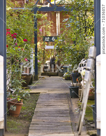 Rose garden gardening Rose garden gardening 71036857