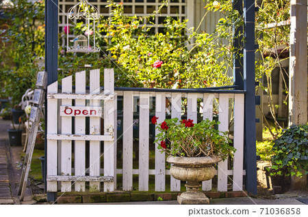 gardening gardening 71036858