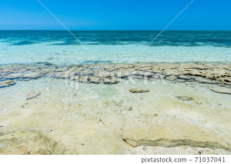 Behind the Green Island 71037041