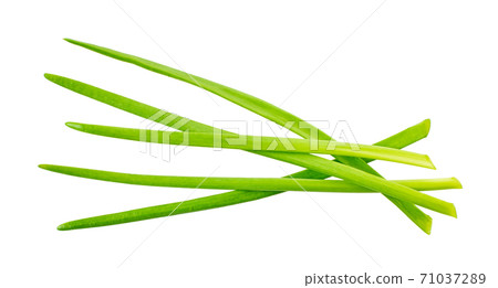 green onion with clipping path green onion with clipping path 71037289