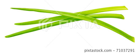 green onion with clipping path 71037291