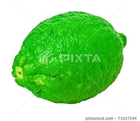 lime on a white isolated background 71037294