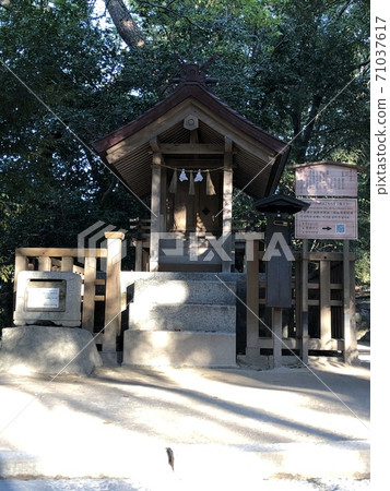 《出雲大社(原田八代/原野八代)》(島根縣出雲市) 《出雲大社(原田八代/原野八代)》(島根縣出雲市) 71037617
