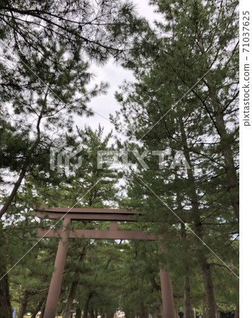《Izumo Taisha Iron Three Torii (Torii on the approach to the pine tree, Torii in the middle)》 (Izumo City, Shimane Prefecture) 71037625